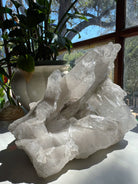 Large Rutilated Lemurian Quartz Cluster from Brazil Baltic Mermaid
