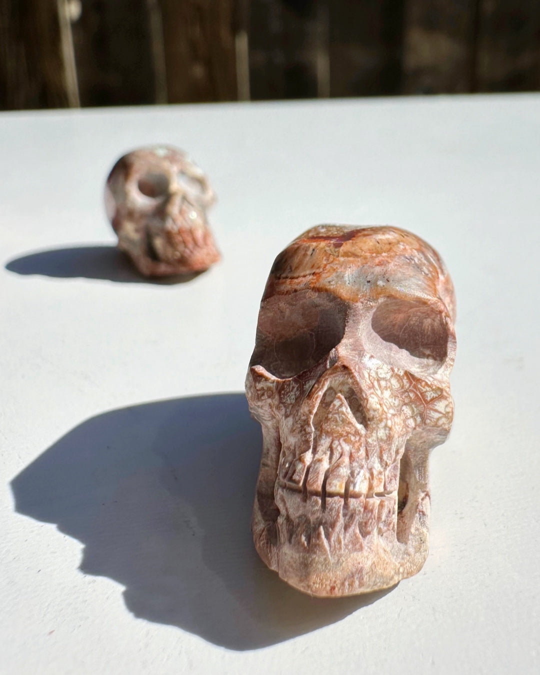 Cantera Opal Skull - Baltic Mermaid