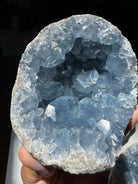 Celestite Cluster Baltic Mermaid