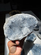 Celestite Cluster Baltic Mermaid