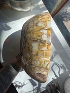 Large Petrified Wood Bowl Baltic Mermaid