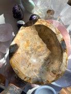 Petrified Wood Bowl Baltic Mermaid