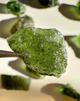 Chlum Moldavite  