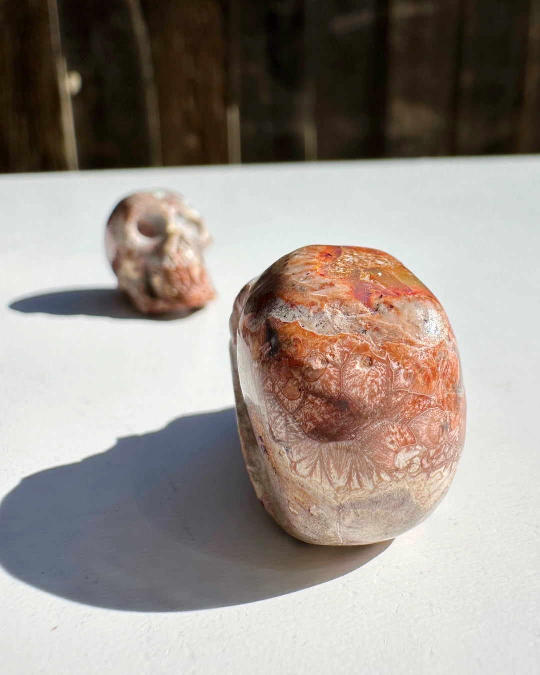 Cantera Opal Skull - Baltic Mermaid