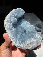 Celestite Cluster Baltic Mermaid