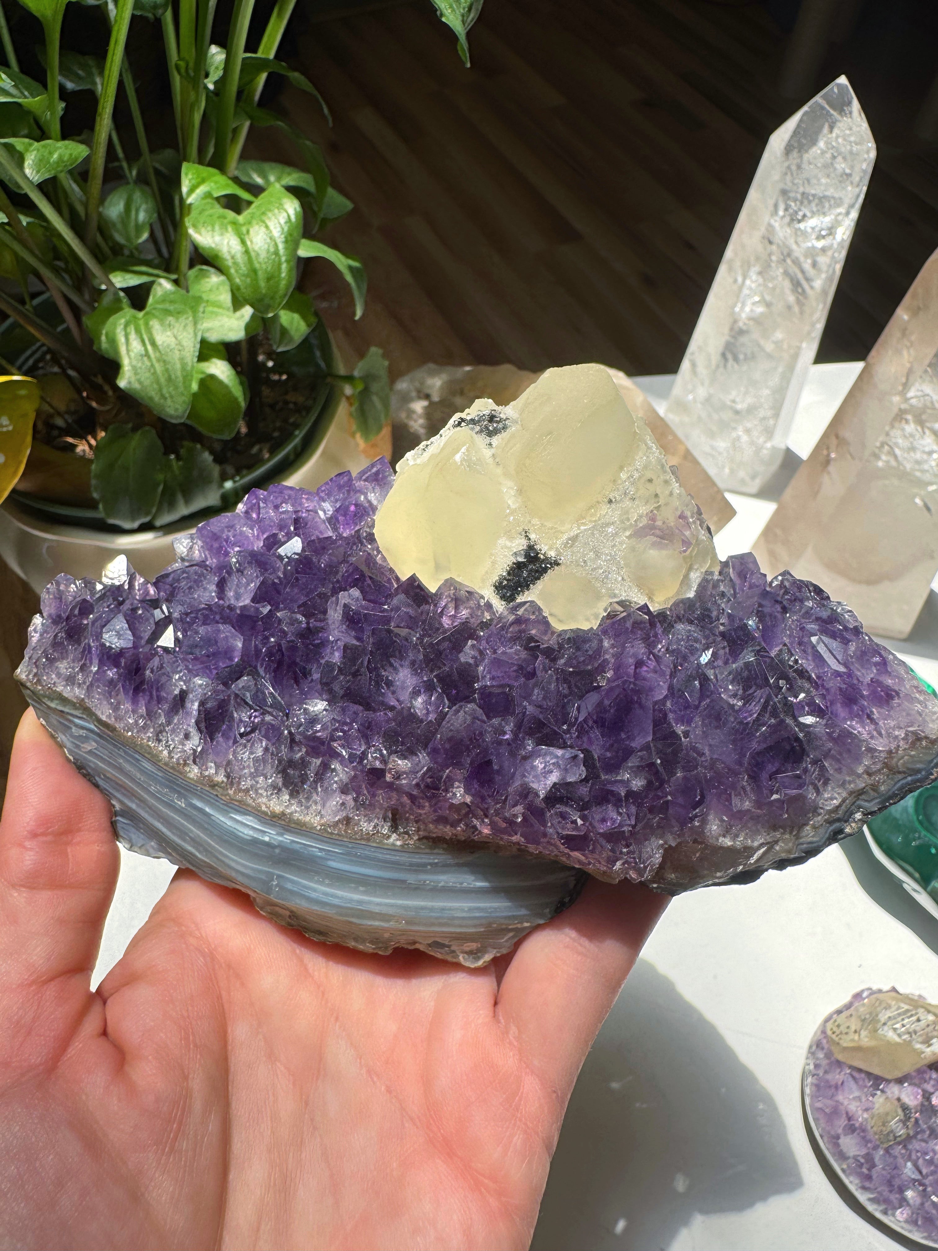 Amethyst Cluster w/ Druzy Calcite from Uruguay Baltic Mermaid
