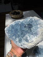 Celestite Cluster Baltic Mermaid