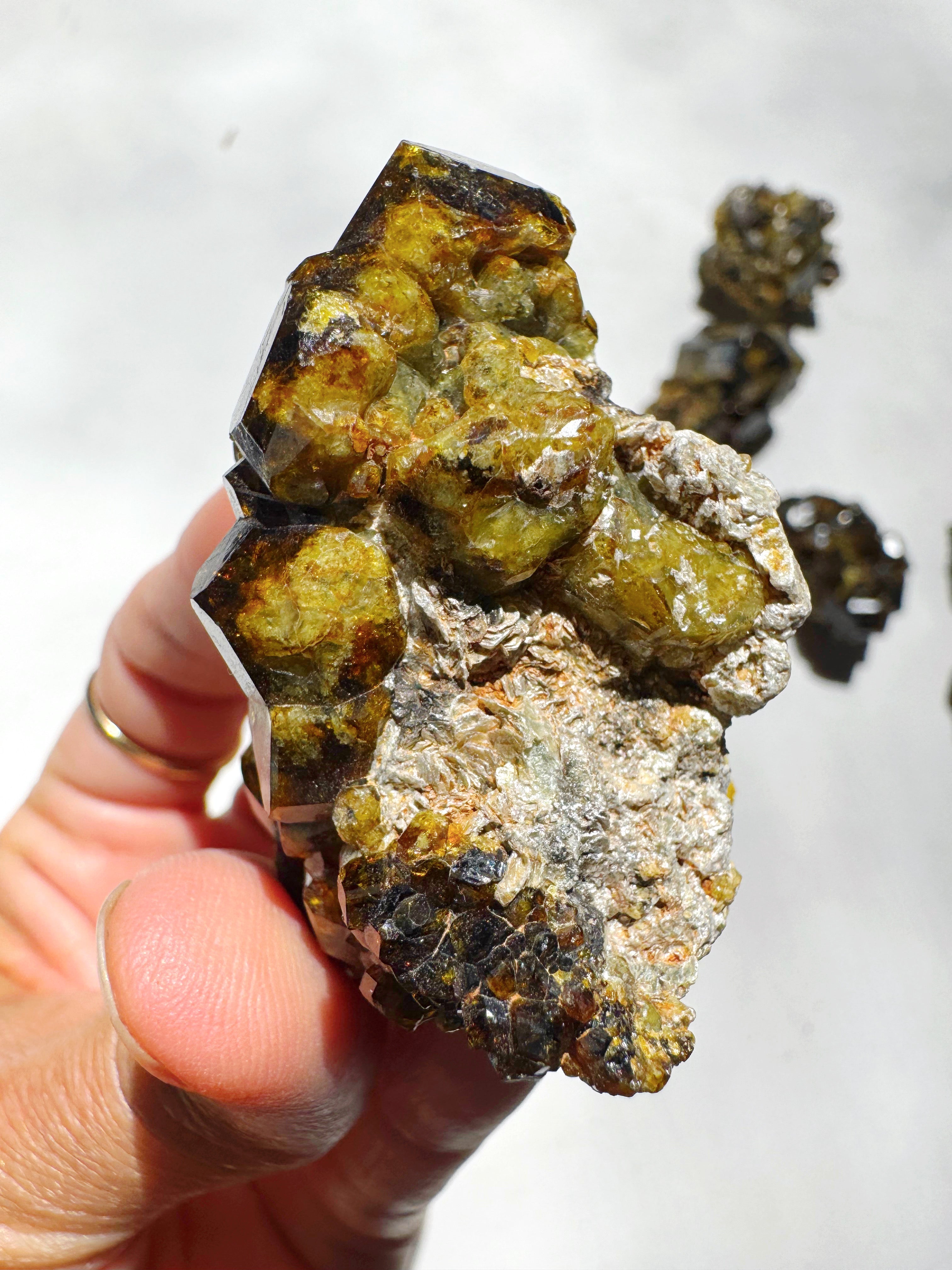 Rare Mali Green Grossular Andradite Garnet w/ Clinochlore AAA Quality Baltic Mermaid