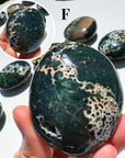 Ocean Jasper Palm Stones