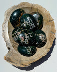 Ocean Jasper Palm Stones