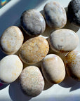 Fossil Coral Agate Palm Stones