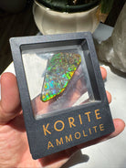 Ammolite Gemstone Hand Specimen Baltic Mermaid