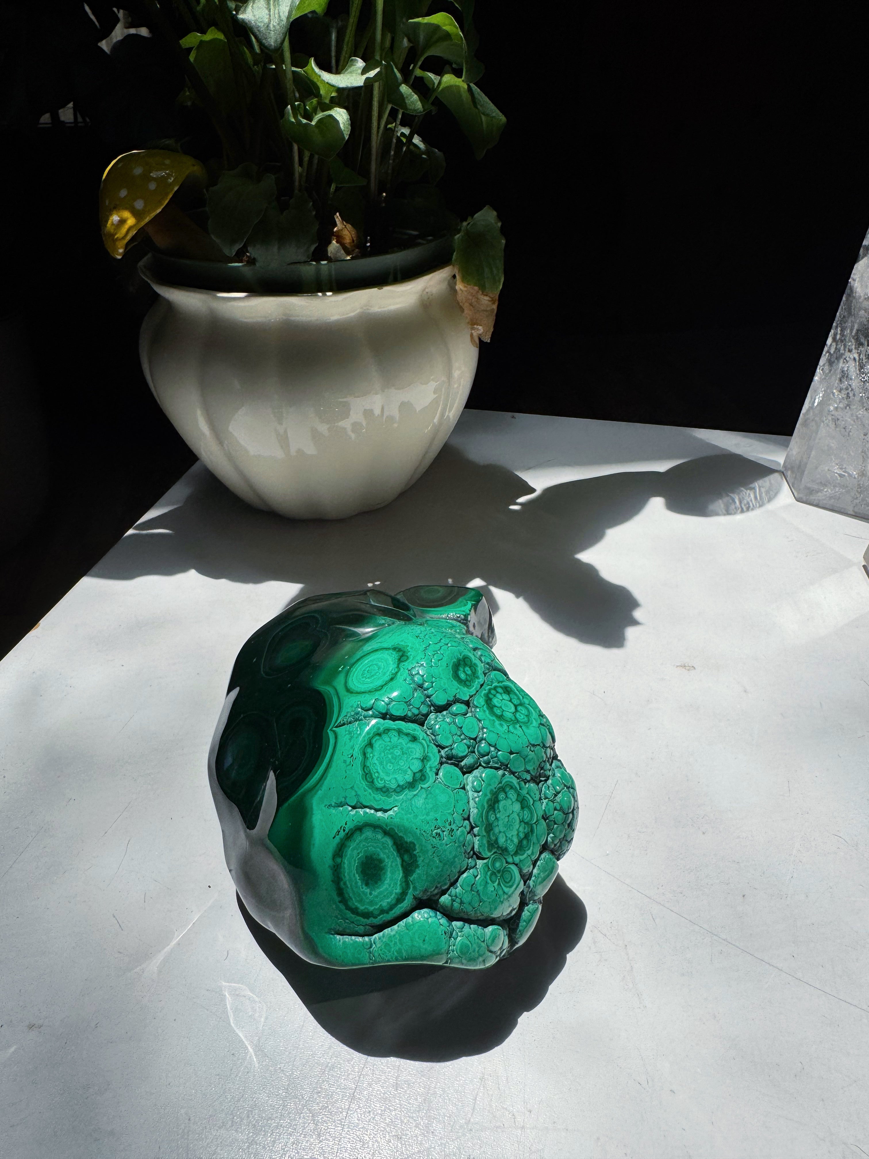 Large Polished Malachite Baltic Mermaid