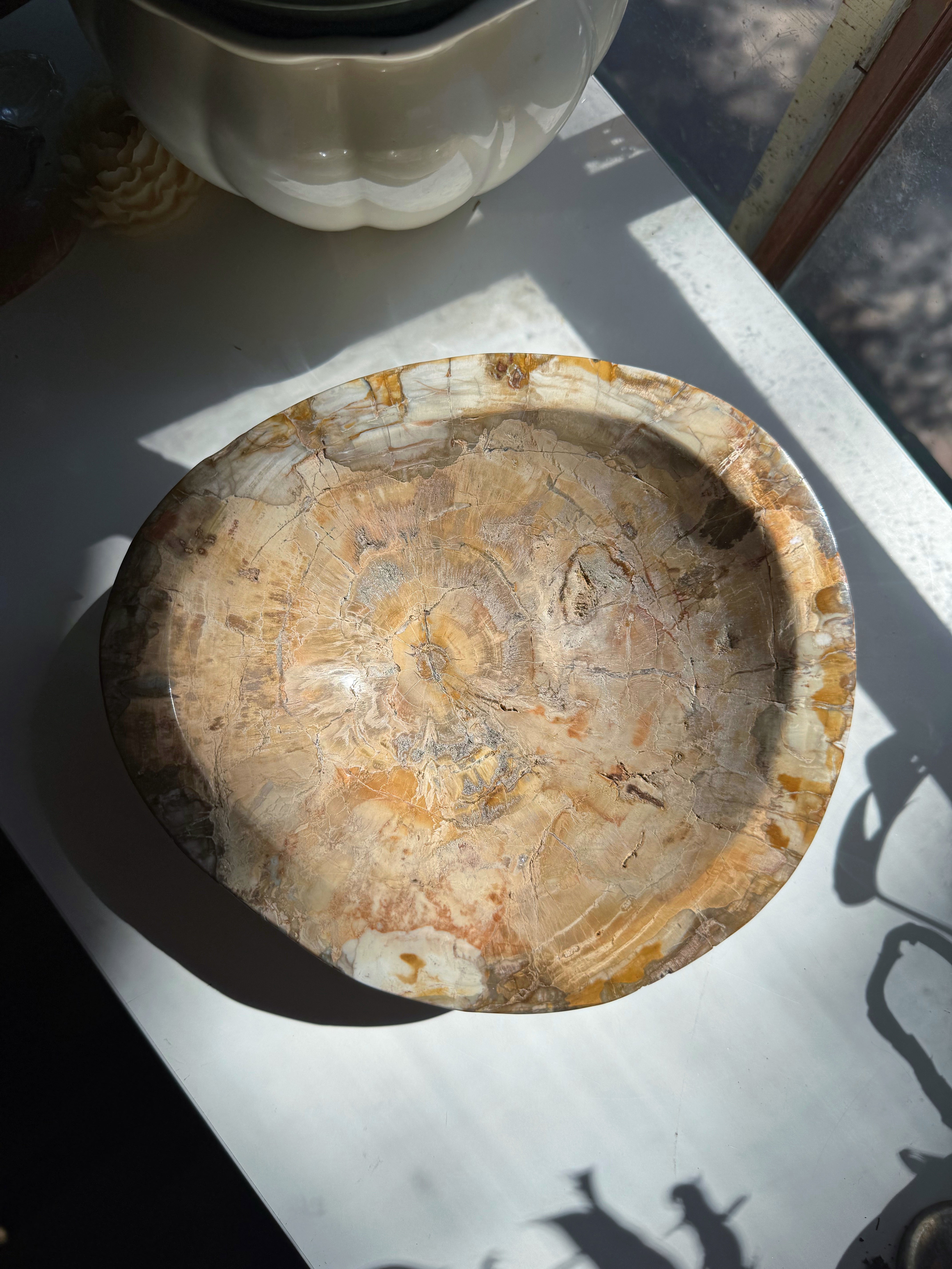 Petrified Wood Bowl Baltic Mermaid