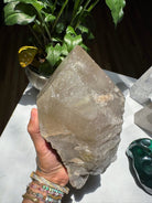 Large Rutilated Quartz Point from Brazil w/ Recordkeepers Baltic Mermaid