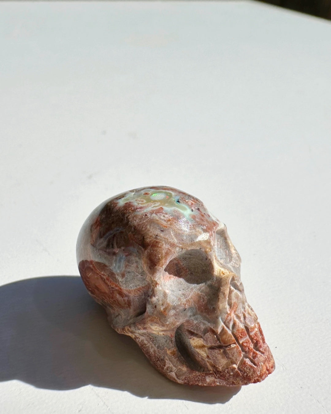 Cantera Opal Skull