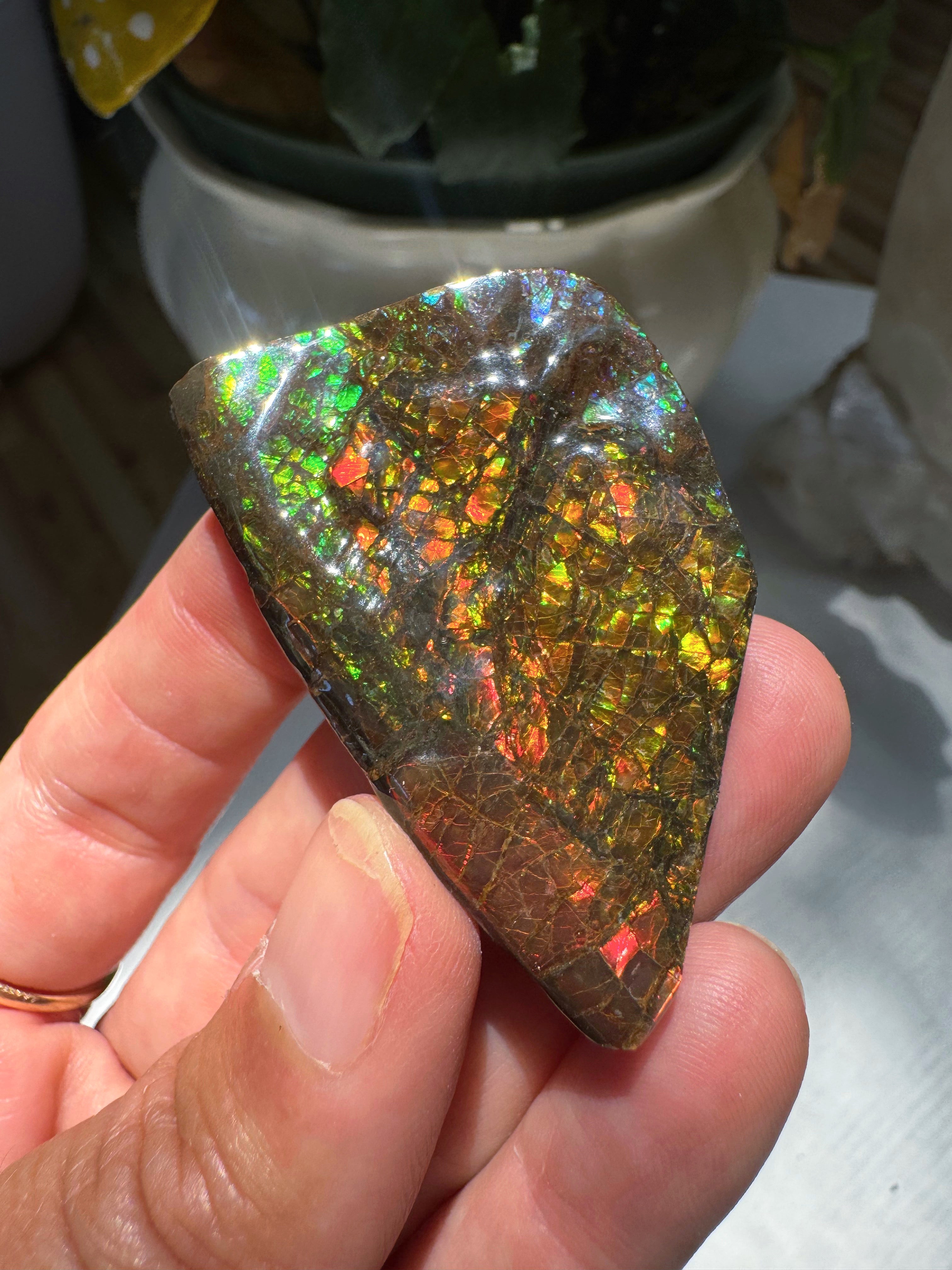Ammolite Gemstone Hand Specimen Baltic Mermaid