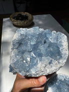 Celestite Cluster Baltic Mermaid