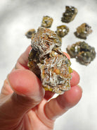 Rare Mali Green Grossular Andradite Garnet w/ Clinochlore AAA Quality Baltic Mermaid