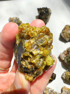 Rare Mali Green Grossular Andradite Garnet w/ Clinochlore AAA Quality Baltic Mermaid