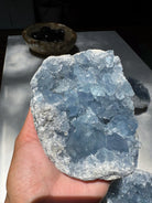 Celestite Cluster Baltic Mermaid