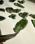 Chlum Moldavite  