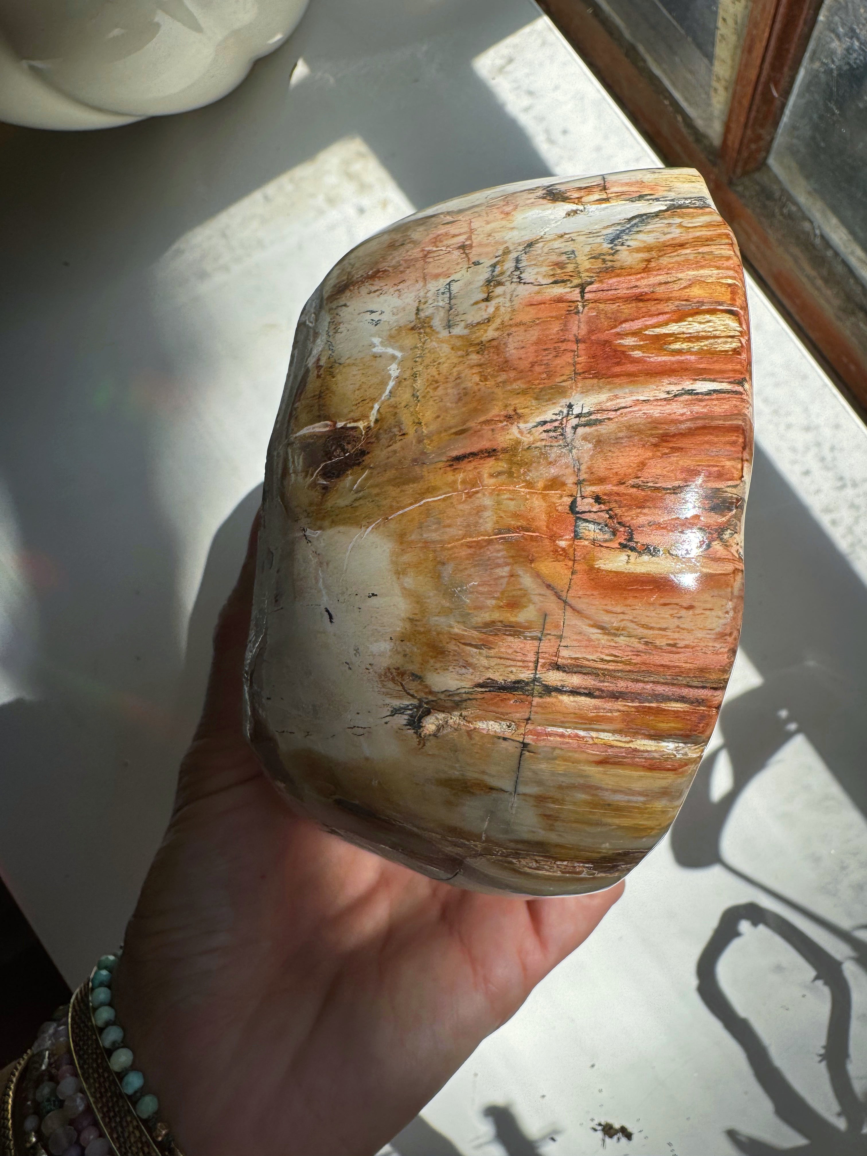 Petrified Wood Bowl Baltic Mermaid