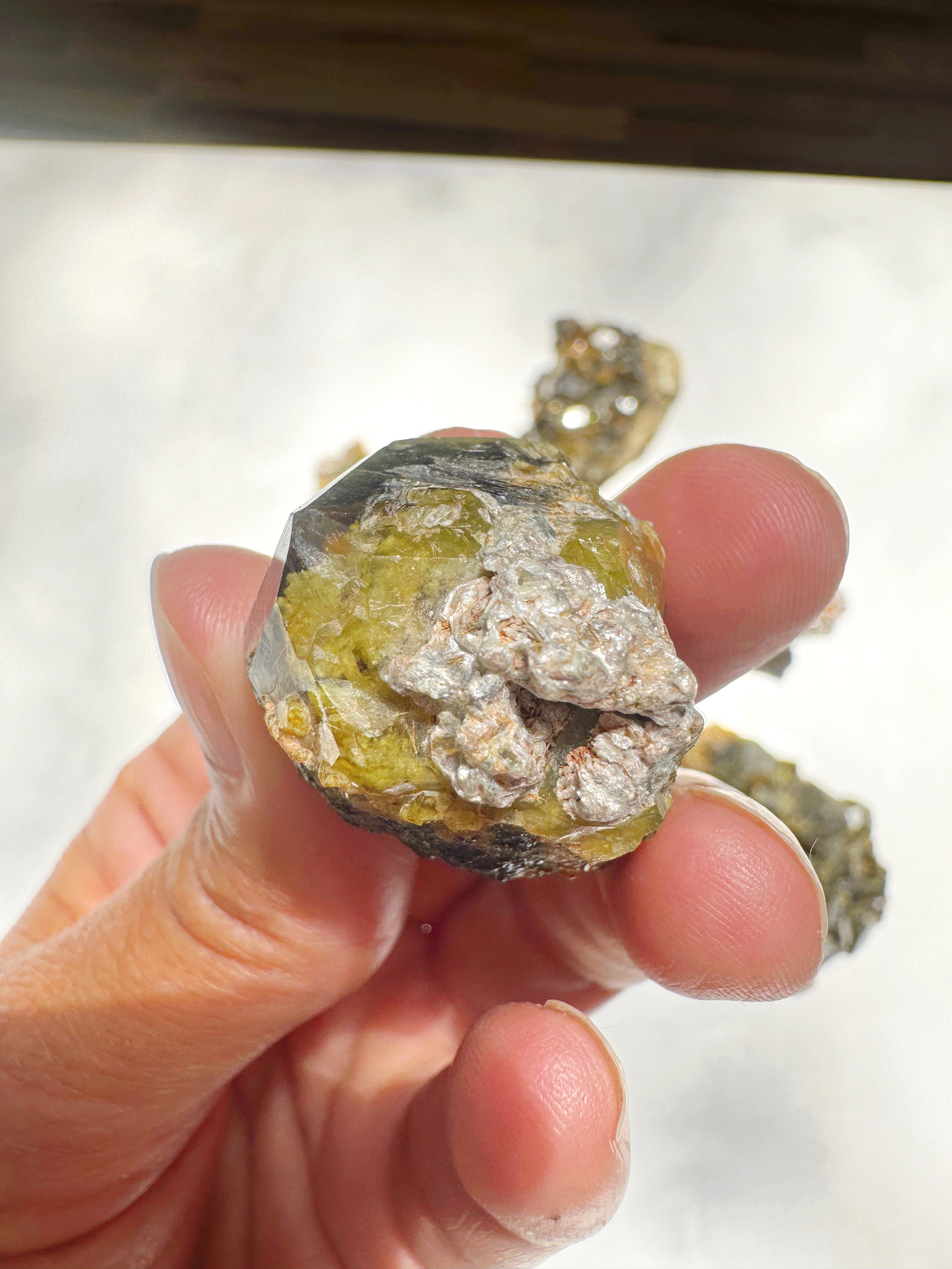Rare Mali Green Grossular Andradite Garnet w/ Clinochlore AAA Quality Baltic Mermaid