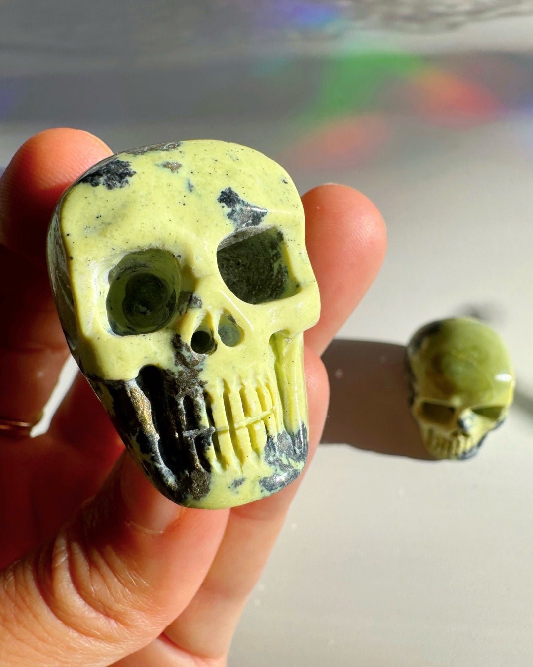 Serpentine Skull - Baltic Mermaid