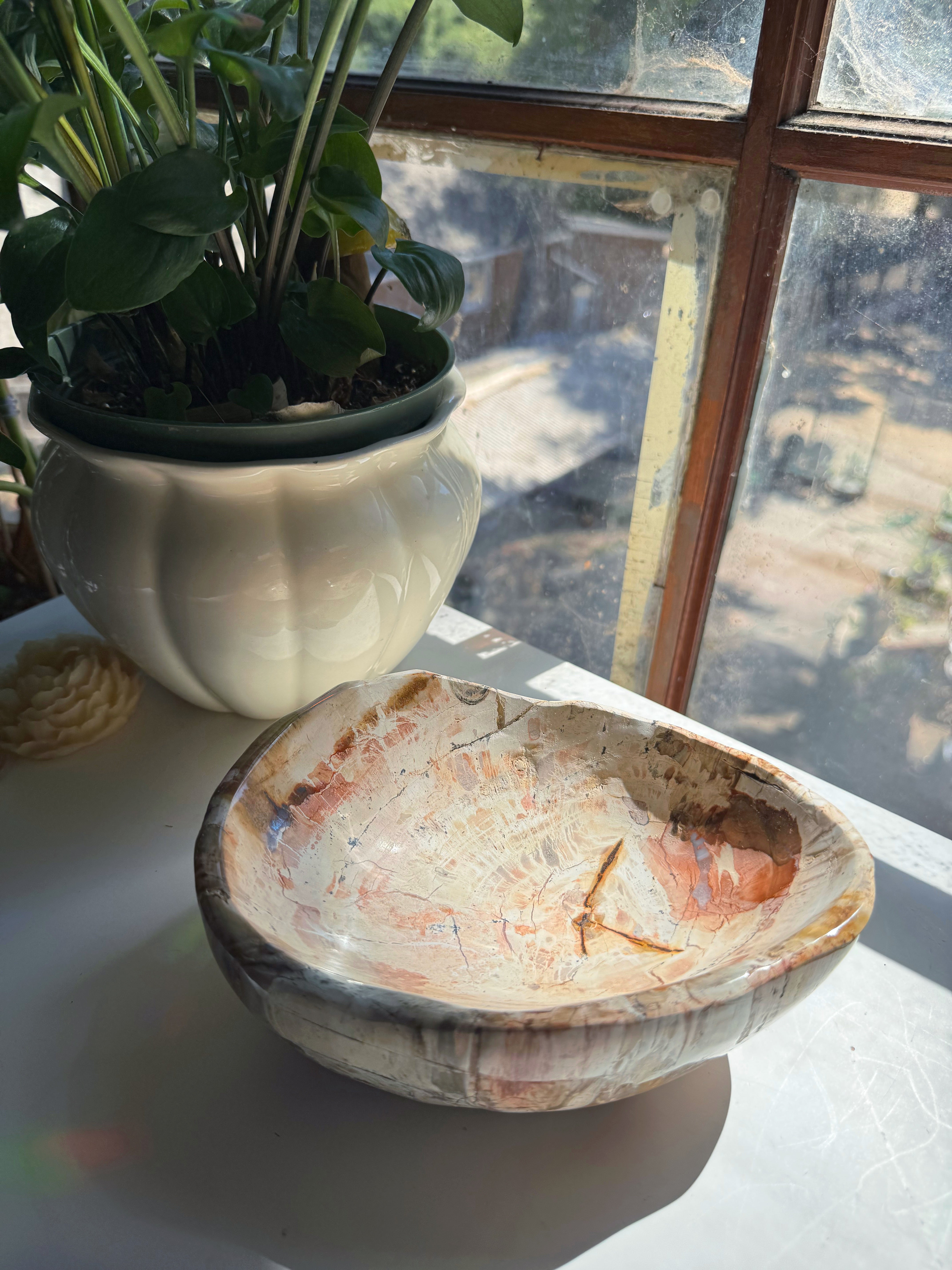 Petrified Wood Bowl Baltic Mermaid