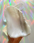 White Calcite Dish E