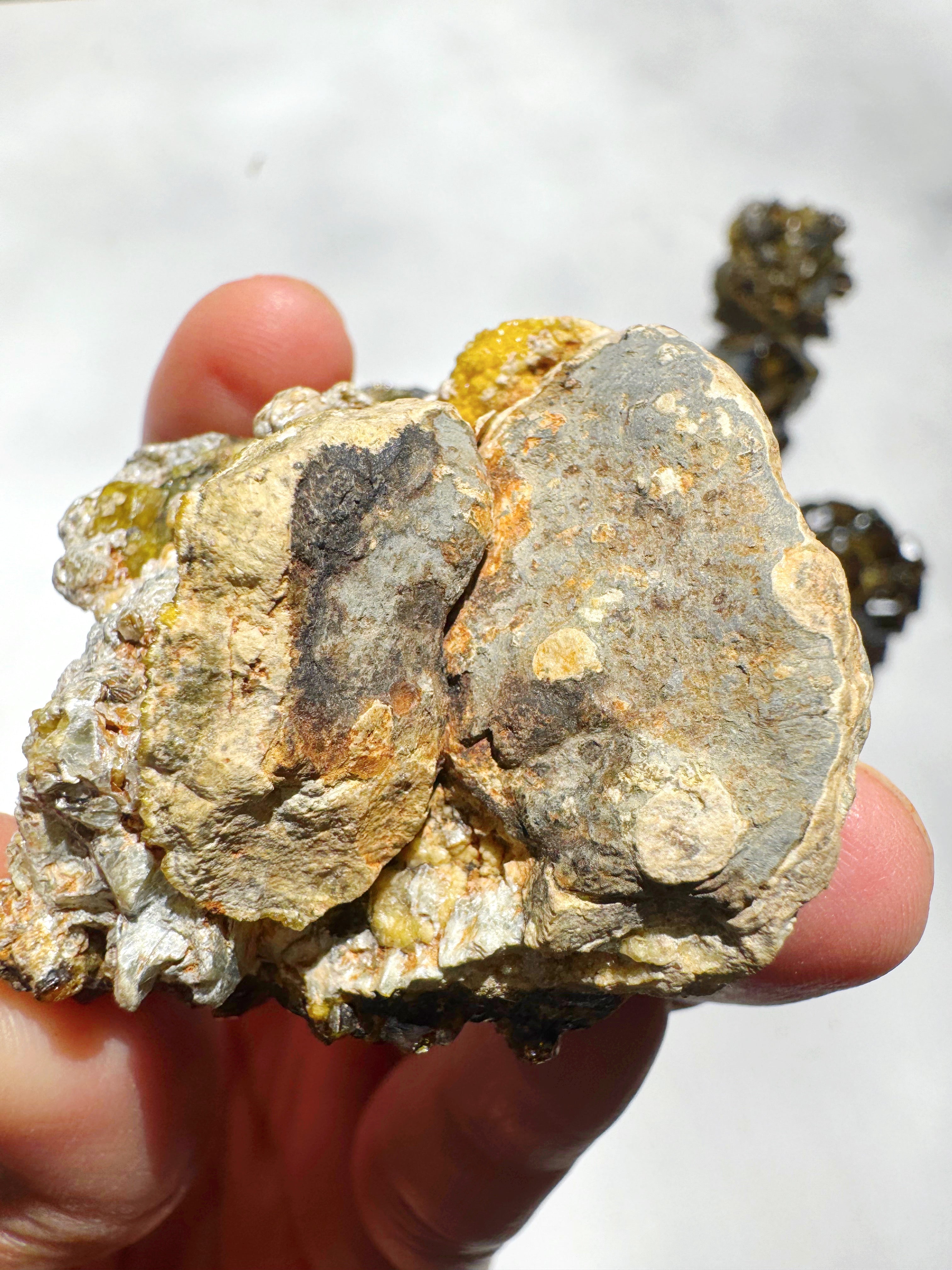 Rare Mali Green Grossular Andradite Garnet w/ Clinochlore AAA Quality Baltic Mermaid