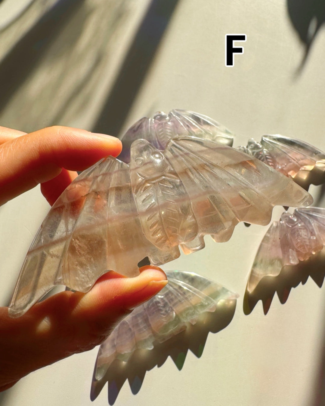 Fluorite Bats - Baltic Mermaid