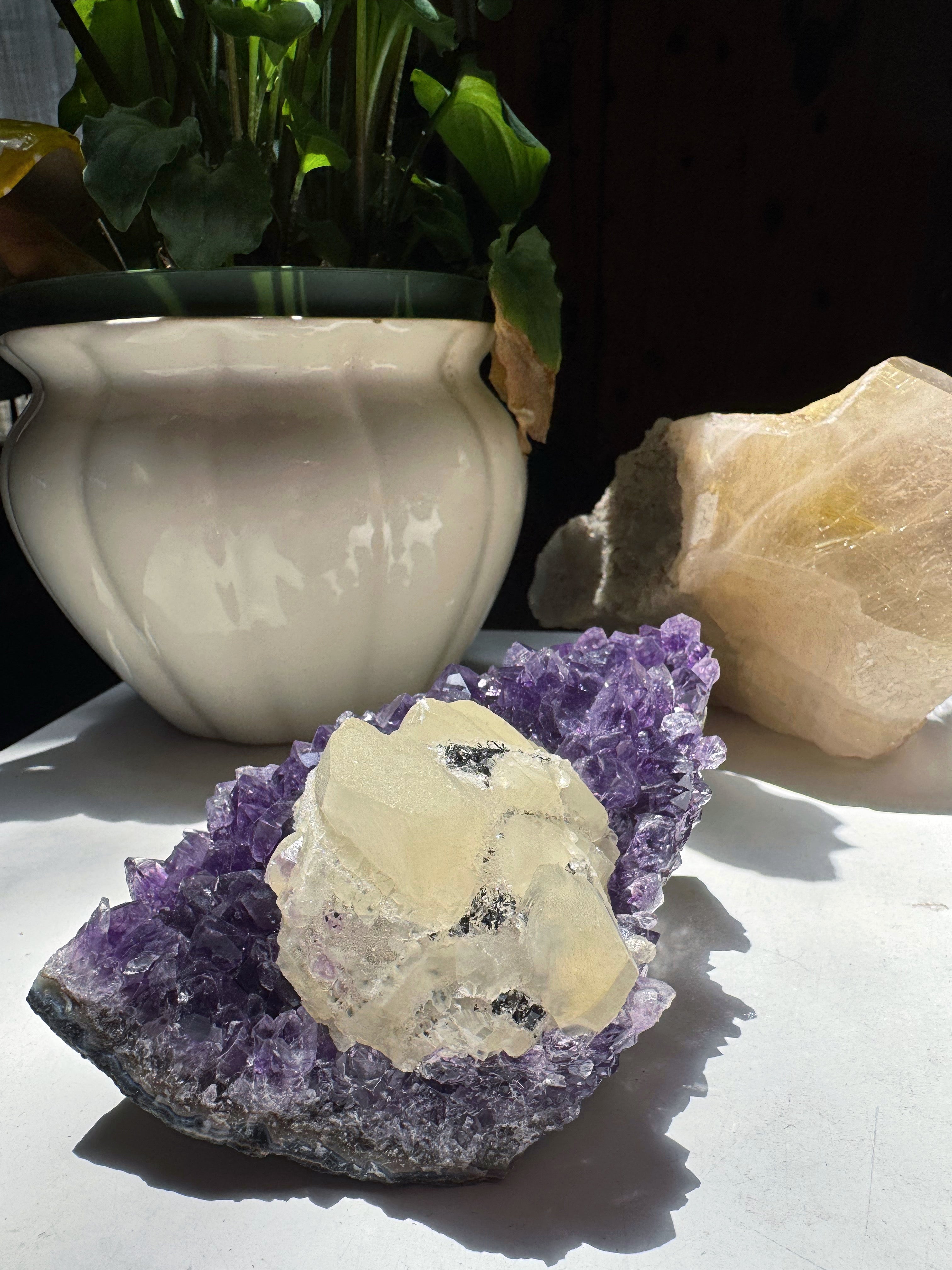 Amethyst Cluster w/ Druzy Calcite from Uruguay Baltic Mermaid