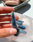 Polished Blue Kyanite Blades