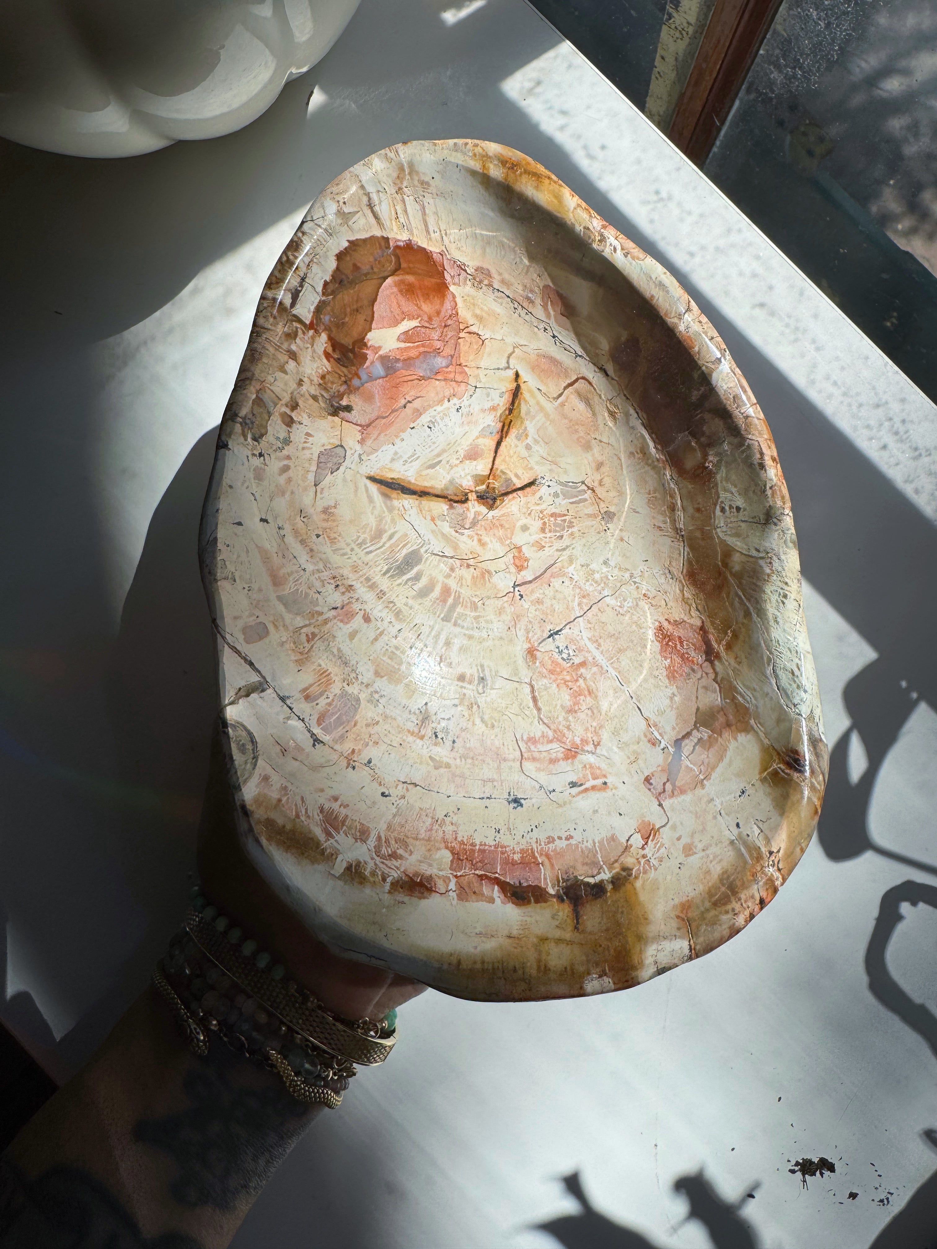 Petrified Wood Bowl Baltic Mermaid