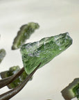 Chlum Moldavite 