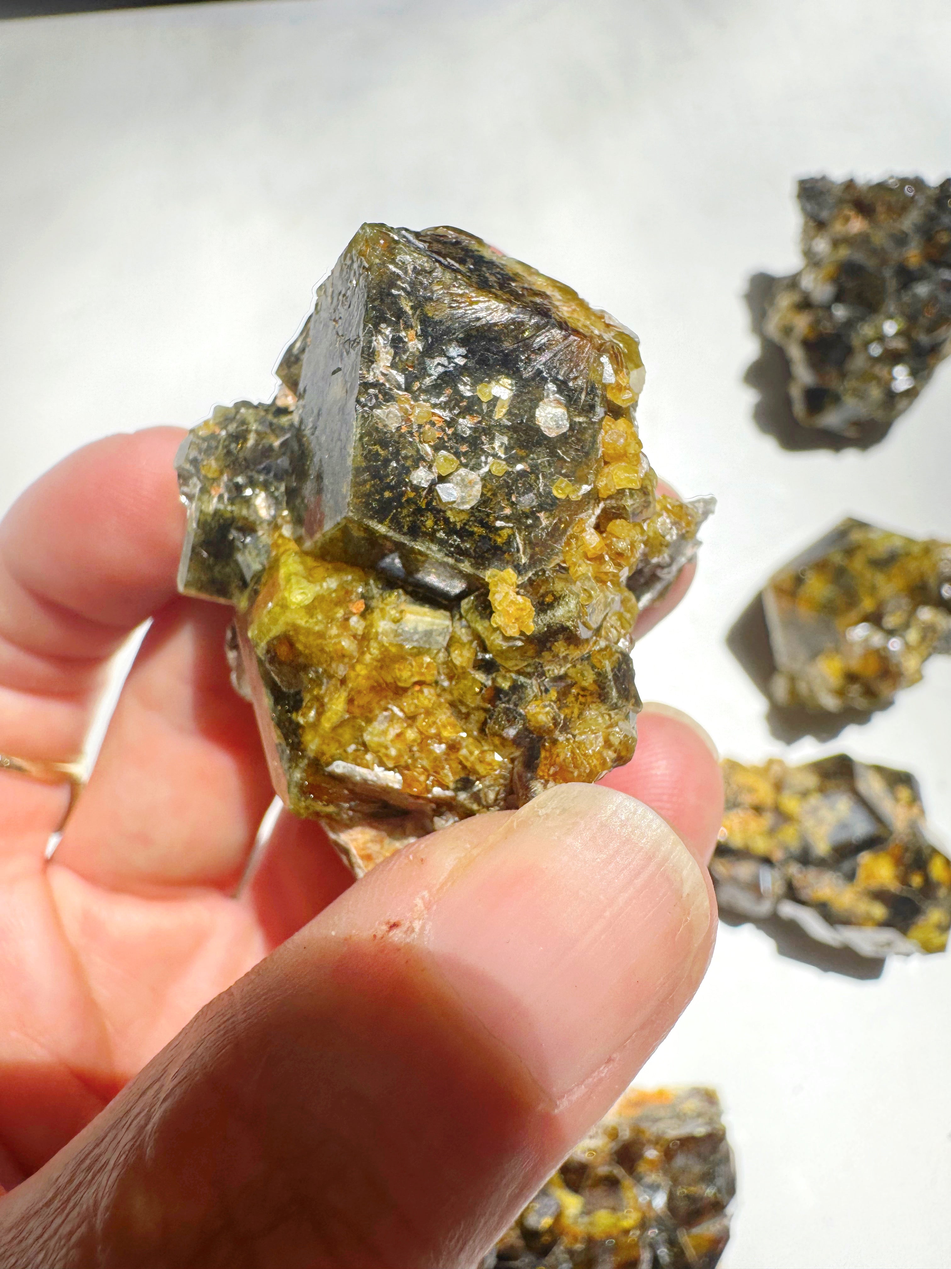 Rare Mali Green Grossular Andradite Garnet w/ Clinochlore AAA Quality Baltic Mermaid