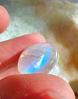 Rainbow Moonstone Polished Stones - AAA