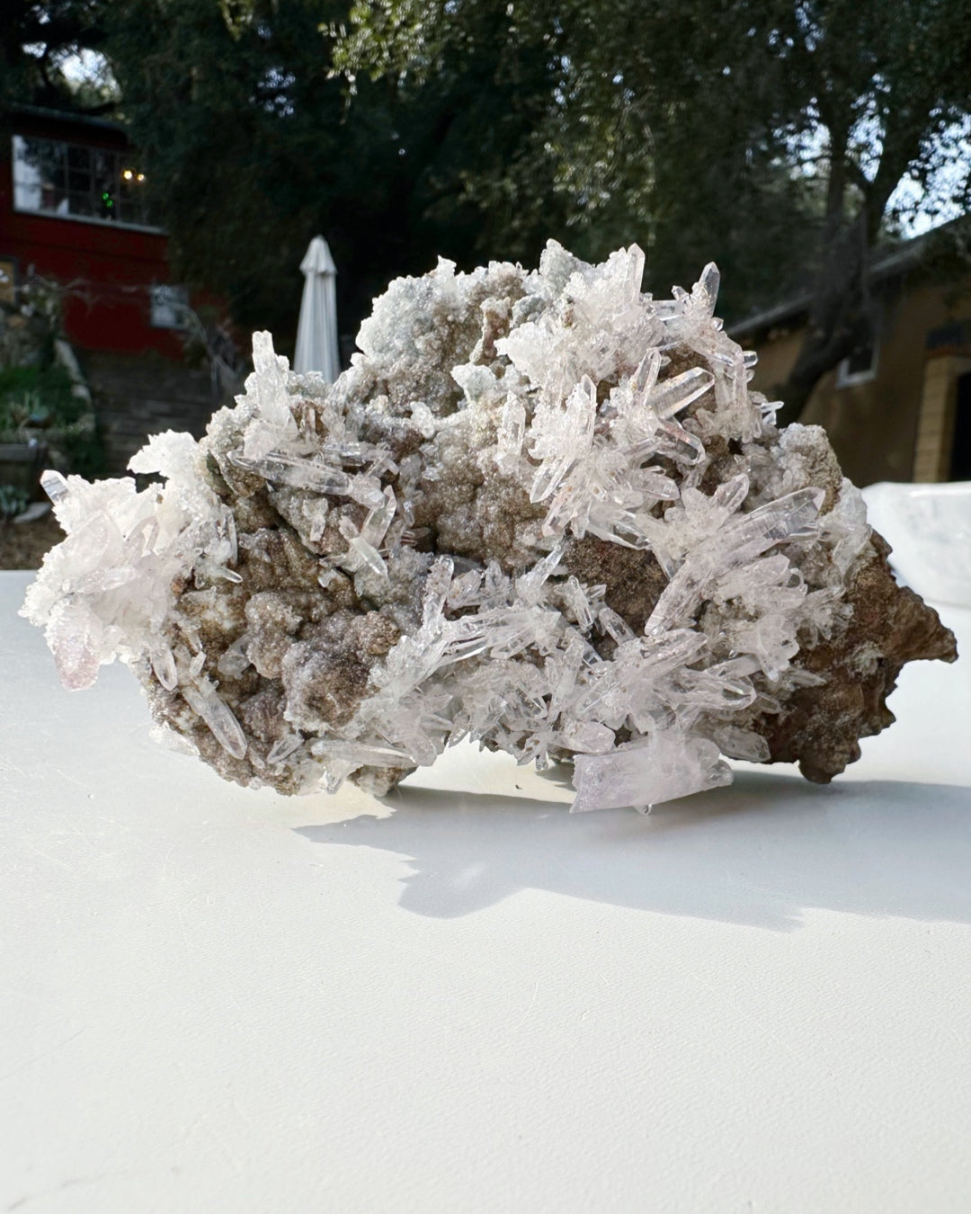 Veracruz Amethyst Cluster - Baltic Mermaid