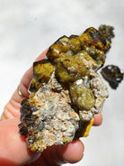 Rare Mali Green Grossular Andradite Garnet w/ Clinochlore AAA Quality Baltic Mermaid