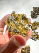 Rare Mali Green Grossular Andradite Garnet w/ Clinochlore AAA Quality Baltic Mermaid