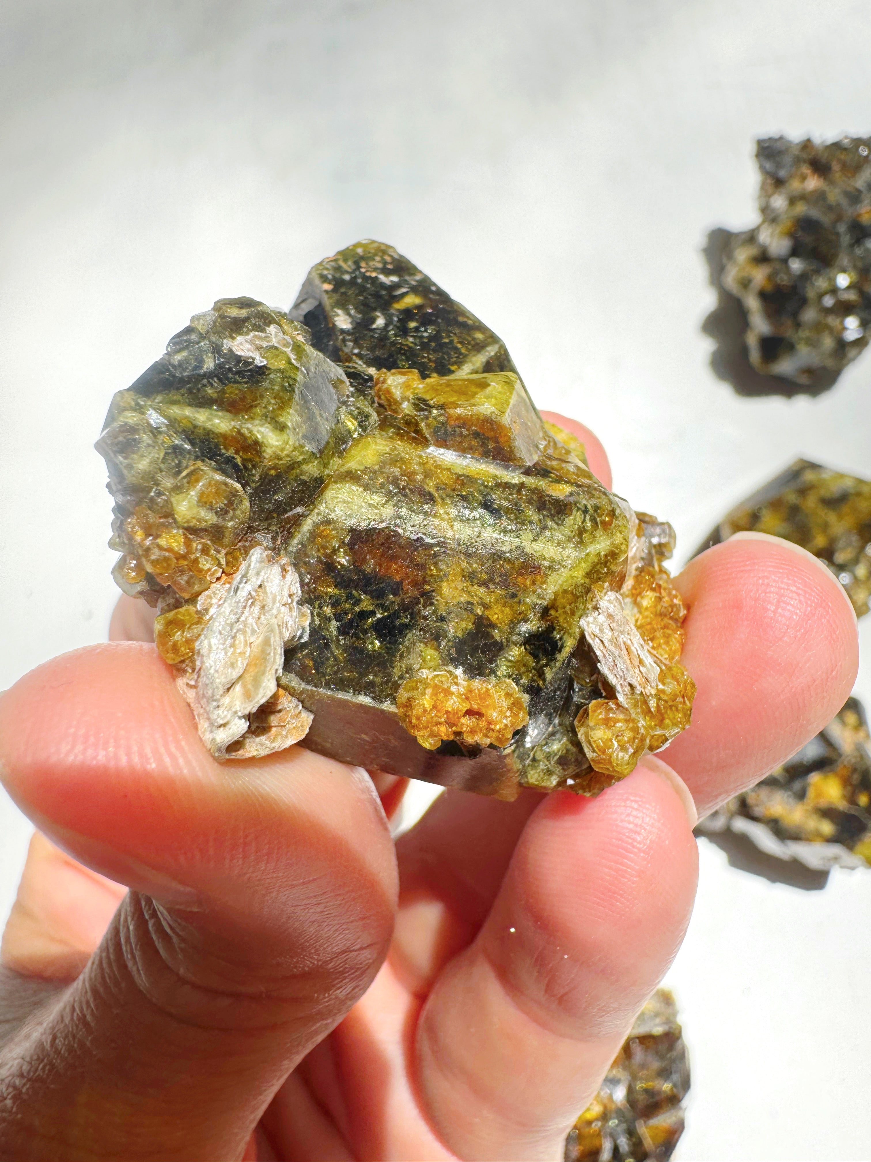 Rare Mali Green Grossular Andradite Garnet w/ Clinochlore AAA Quality Baltic Mermaid