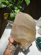 Large Rutilated Quartz Point from Brazil w/ Recordkeepers Baltic Mermaid