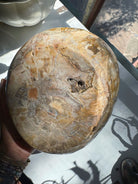 Large Petrified Wood Bowl Baltic Mermaid