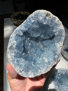 Celestite Cluster Baltic Mermaid