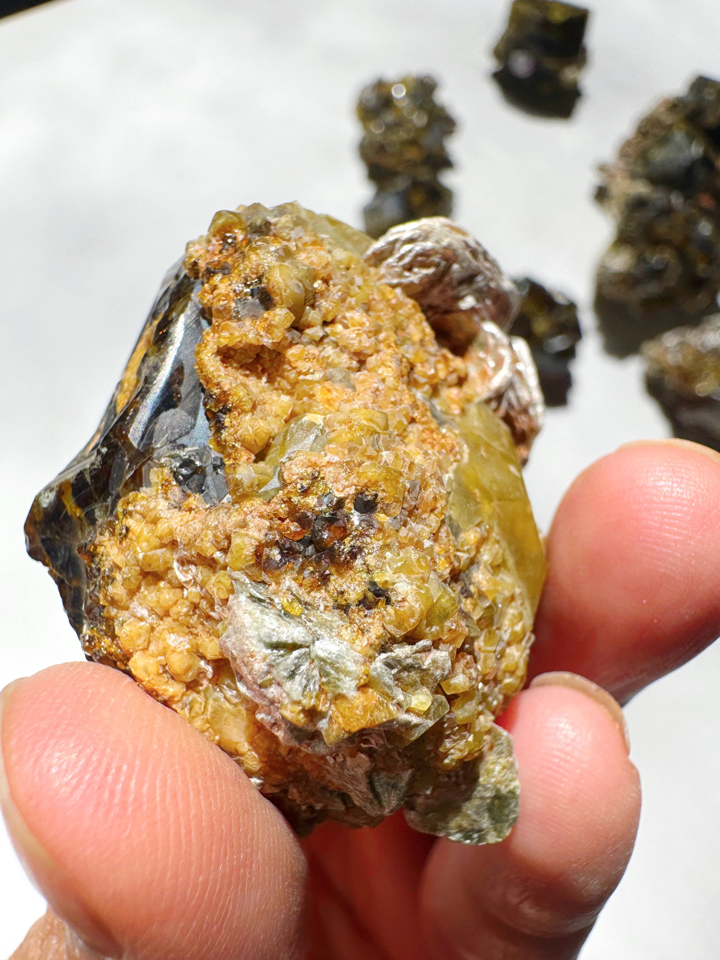 Rare Mali Green Grossular Andradite Garnet w/ Clinochlore AAA Quality Baltic Mermaid