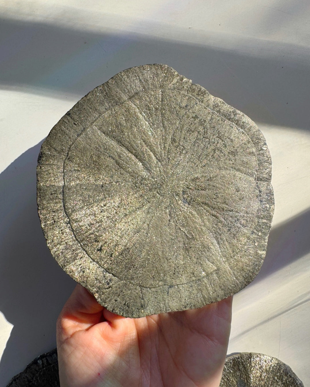 Pyrite Sun - Baltic Mermaid