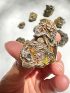 Rare Mali Green Grossular Andradite Garnet w/ Clinochlore AAA Quality Baltic Mermaid