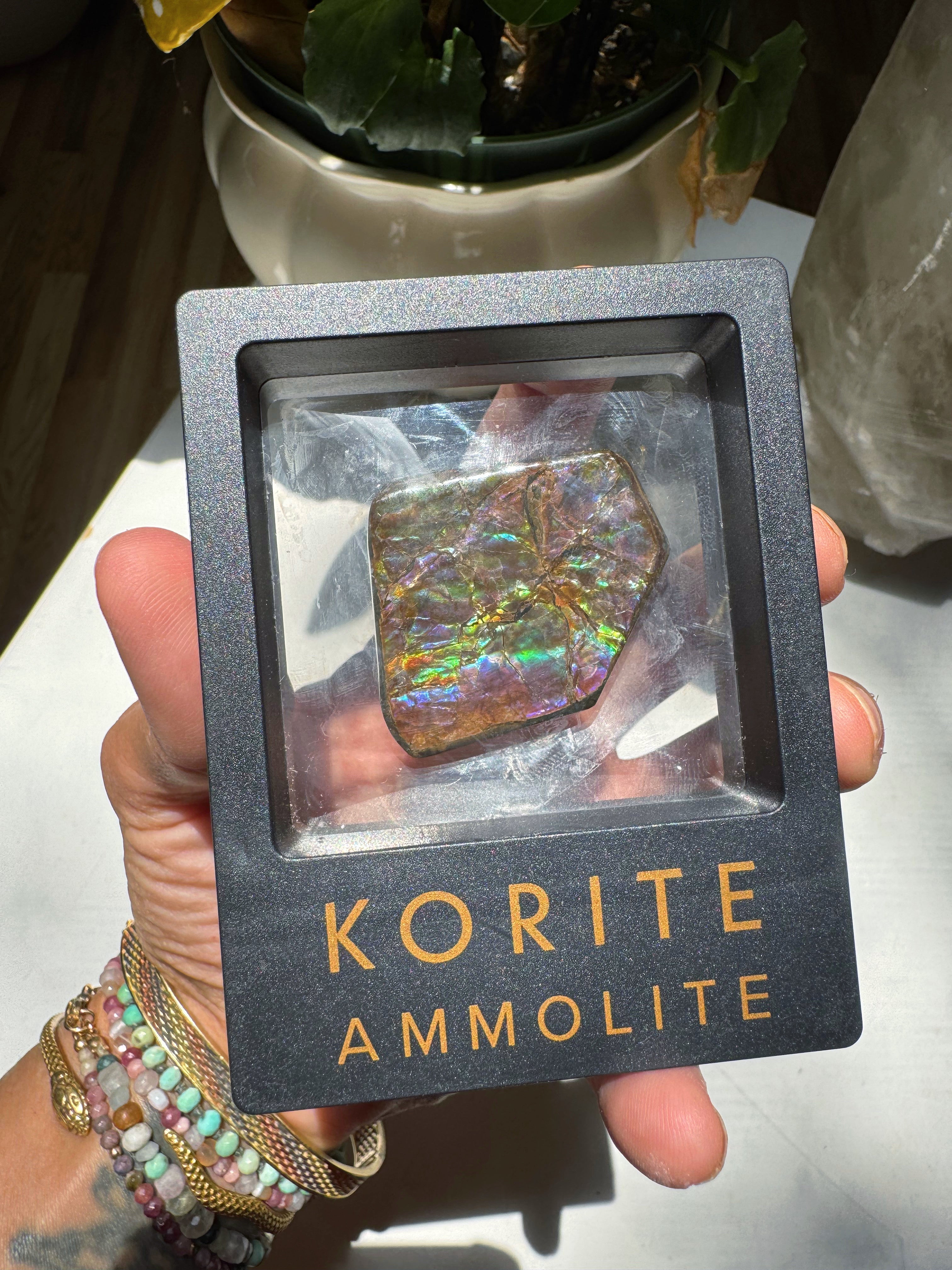 Ammolite Gemstone Hand Specimen Baltic Mermaid